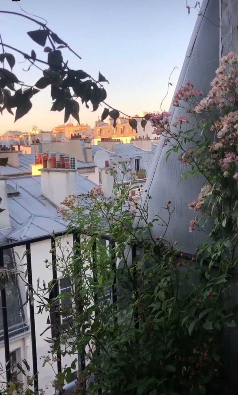 Jeanne Damas Apartment Paris