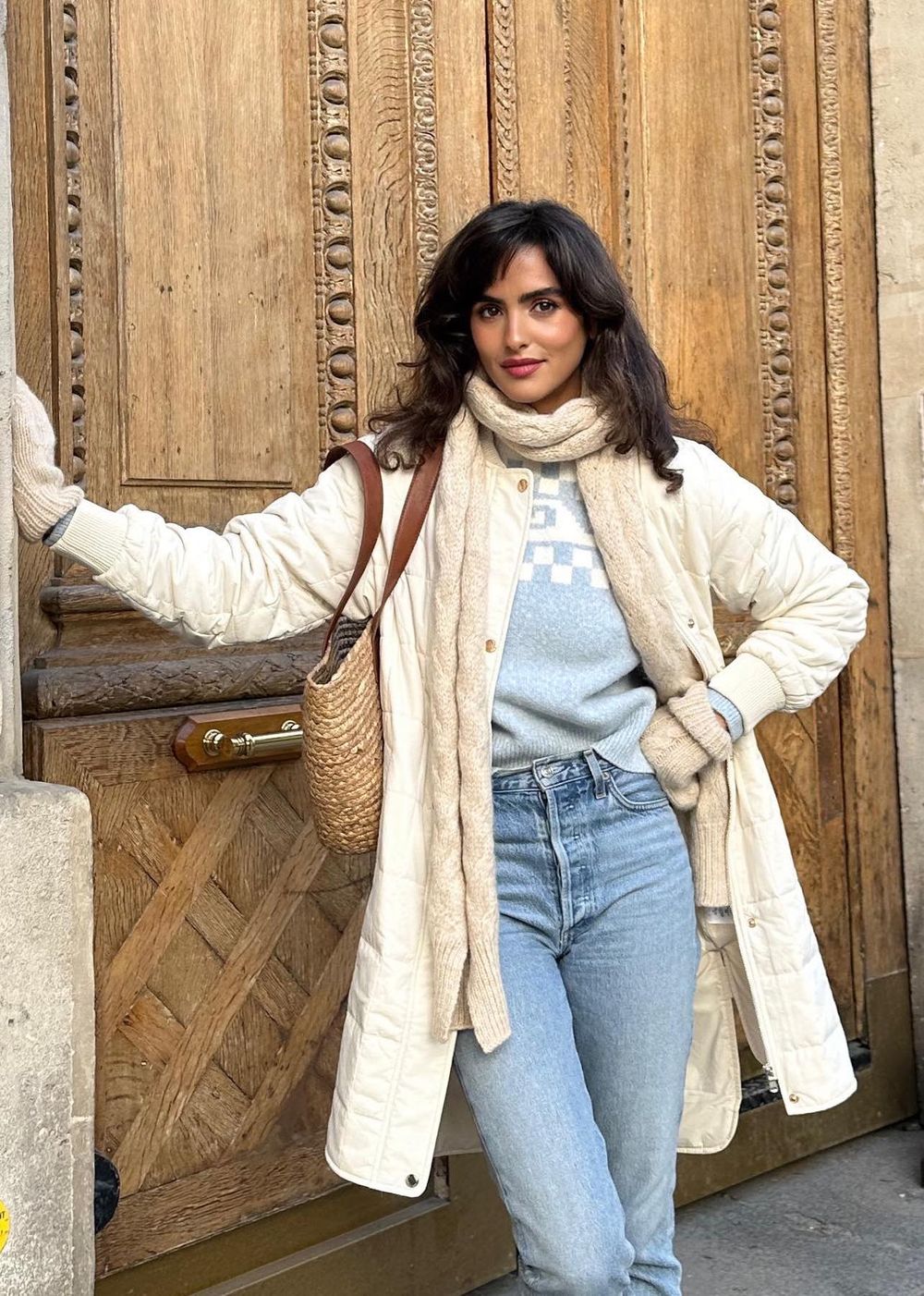 Parisian Winter Look: Faux Fur Coat, APC Ella Bag  Parisian winter,  Fashion, Parisian winter outfits